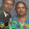 yashthakur3142