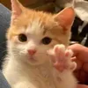 meoconbenho00