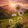 yasmin.ibrahim7102