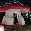 magicfunfun6322