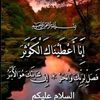 hafsachhafsach531