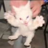 wtpyg_