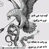 samirbehzad7