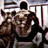 tigerl96