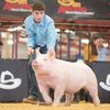 easton_beierman