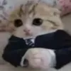 assifka