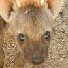 rainydayyeen