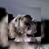 user15088865288370
