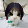 strawberry_cattys