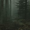 might_edit_stuff