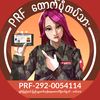 ayeaye141115
