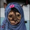 gojo12344waifu