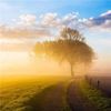 Discover beautiful scenery