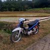 tofasedangmain