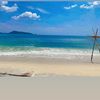 aom_varanit999