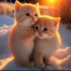 6jannat477