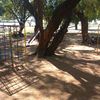 motsepe.malaka