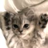 aty_118
