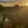 gabihsparks