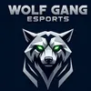 wolfgangesport