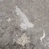 nikitjgtbip