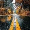 shahzadgill840