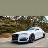 shamz535