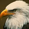 anish.khatiwada06