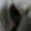 acosssy79
