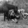 Mrs Road King