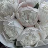 littlepeonies20