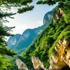 natural_worldo