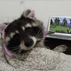dizzie_lizzie321