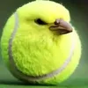tennisballvogel
