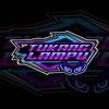 tukang_lampu1