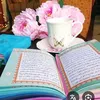 user9296381288616