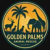 Golden Palms