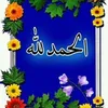 user3611880041074