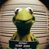 yourtypicalkermit