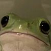 froggie_juice