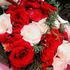 noura_toulan