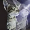 elgatoo00000