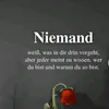 aryennasiry