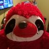 mrredsloth2211