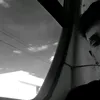 pedroo62_