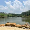 pu_nguyen__