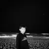 iconsecrett