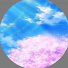 user7106603050263