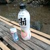 dianandini_183