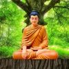 user902191670060